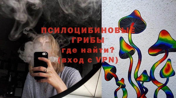 PSILOCYBIN Алексеевка