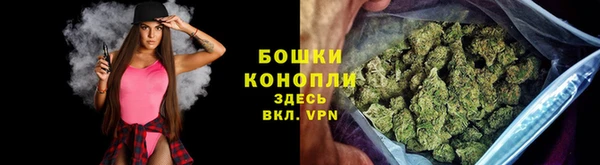 PSILOCYBIN Алексеевка