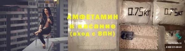дживик Пересвет
