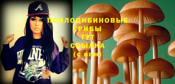 PSILOCYBIN Алексеевка