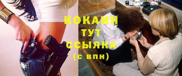 дживик Пересвет