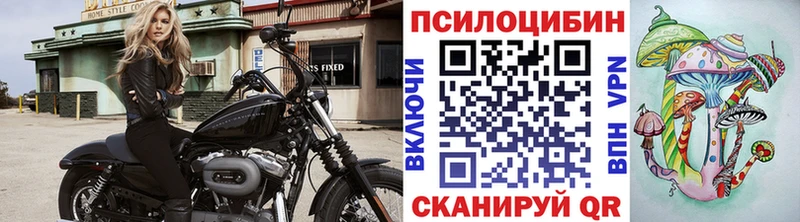 Псилоцибиновые грибы Psilocybe  Мостовской 